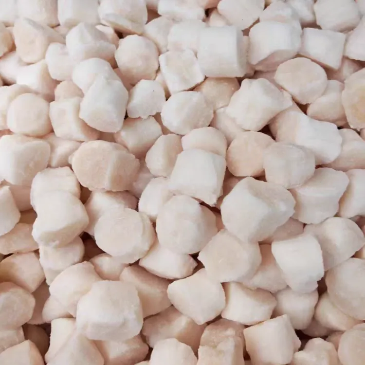frozen-scallop-for-hotpot