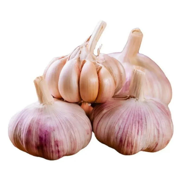 non-GMO garlic